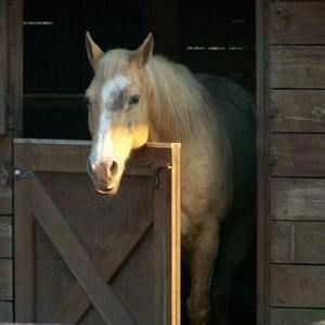 Meet your Posher, Jean